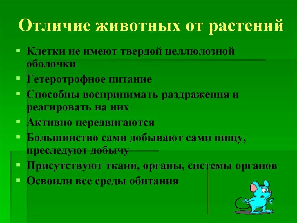 Растительная отличается от животной. Отличие животных от растений. Чем животные отличаются от растений. Чем растения отличаются от животных. Различие животных от растений.