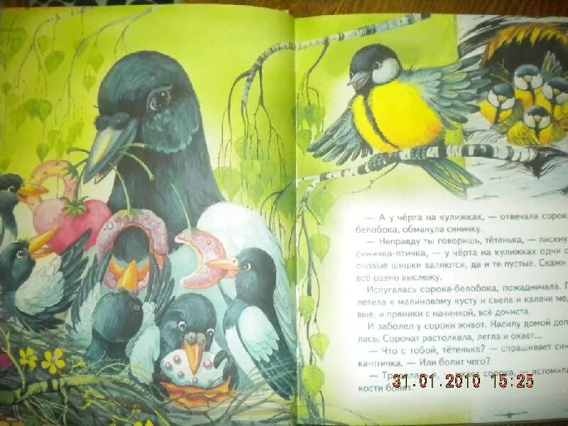 Заходер птичья школа читать полностью весь текст. Заходер птичья школа. веселые стихи птичья школа. б заходер веселые птичья школа.