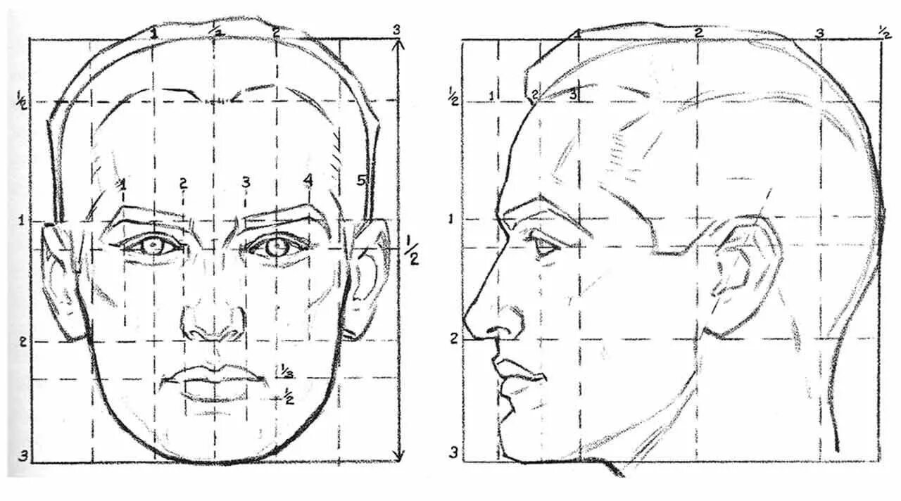 необычная внешность. лицо девушки. мужчина анфас. юноша анфас. анфас человека.