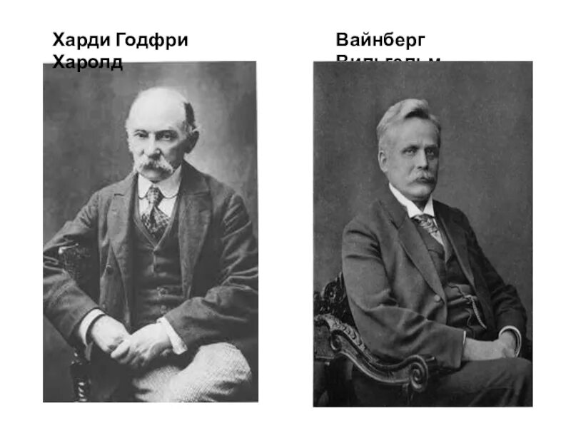 Хайди вайнберг. Харди Вайнберга. Вайнберг биолог. Г Харди и в Вайнберг.