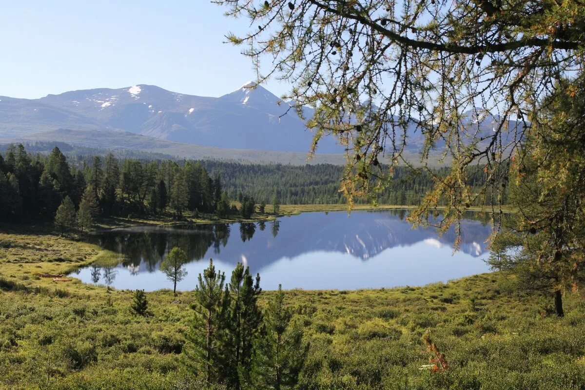 улаганский тракт алтай. алтай горный усть улаган. улаганский перевал горный алтай. марьино озеро улаган. республика алтай улаганский.