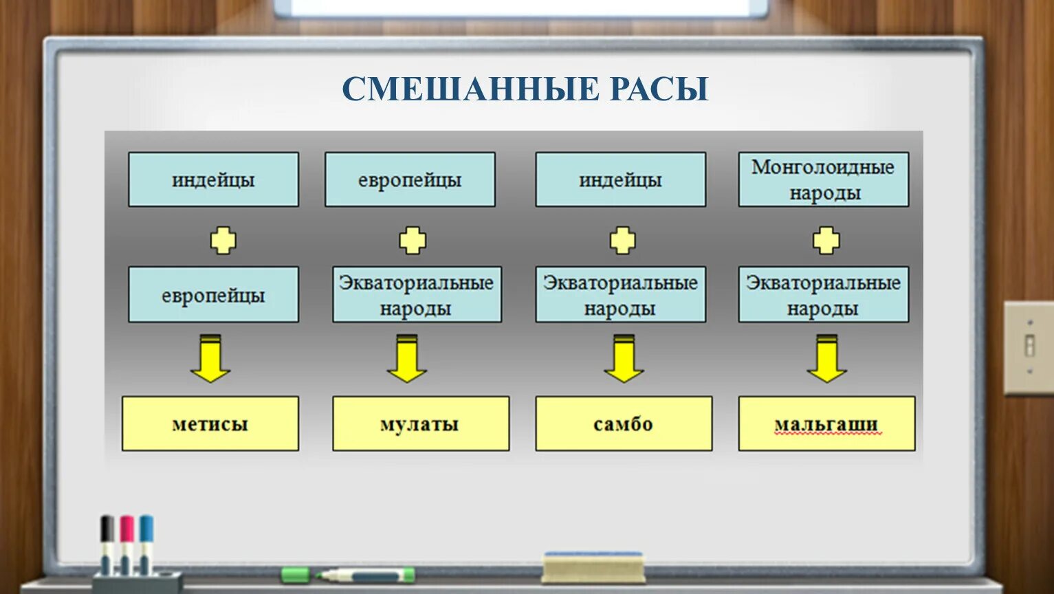 Смешанные расы. Основные и смешанные расы. Схема смешанных рас.