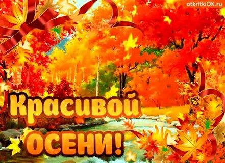 Золотая осень подарки