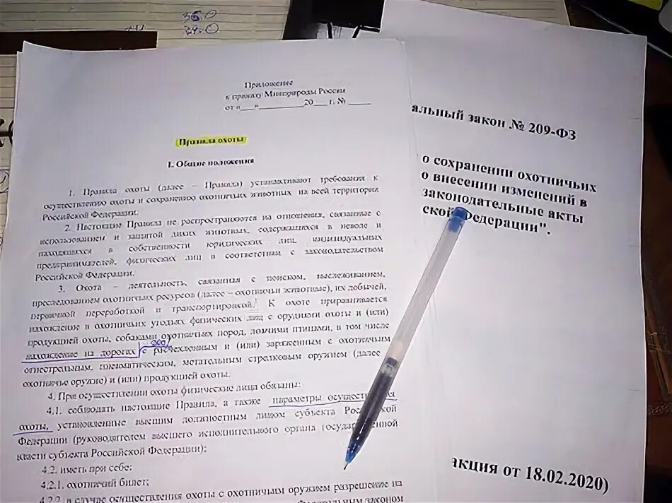 Правила охоты от 24.07 2020 477. Правила охоты 2020. Изменения в правилах охоты.