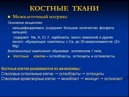 Межклеточное вещество костной ткани содержит