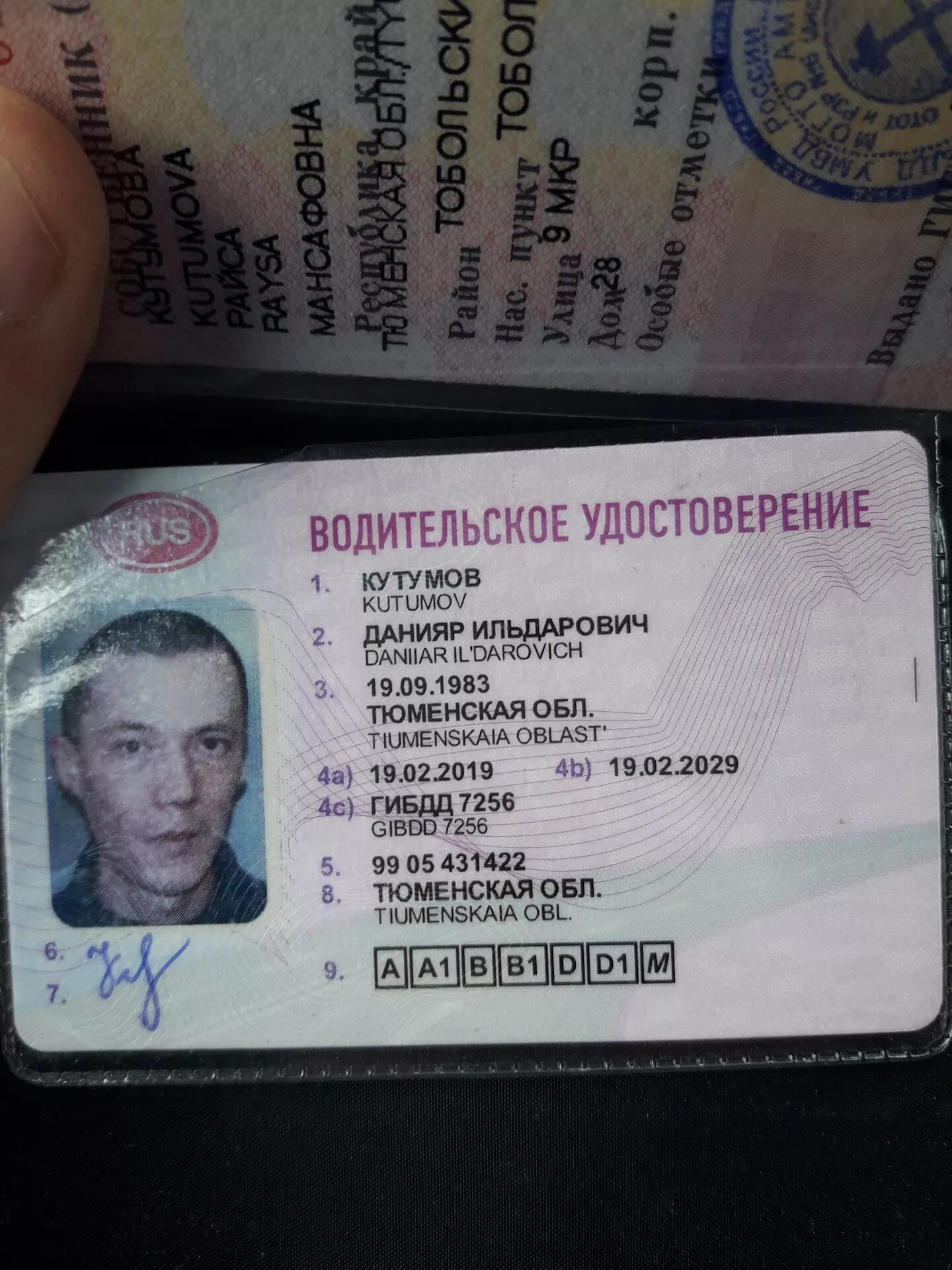 Дительски еудостоврение. Замена водительского новосибирск. Дительски еудостоврение. Замена водительского новосибирск. Замена водительского новосибирск.