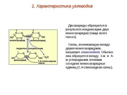 Углеводы какая связь