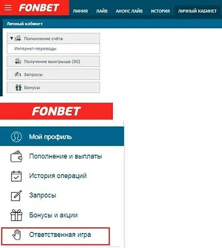 Приложение фонбет t me s fonbetskachat. Аккаунт Фонбет. Фонбет компьютерная версия. Фонбет история операций. Фонбет Интерфейс.