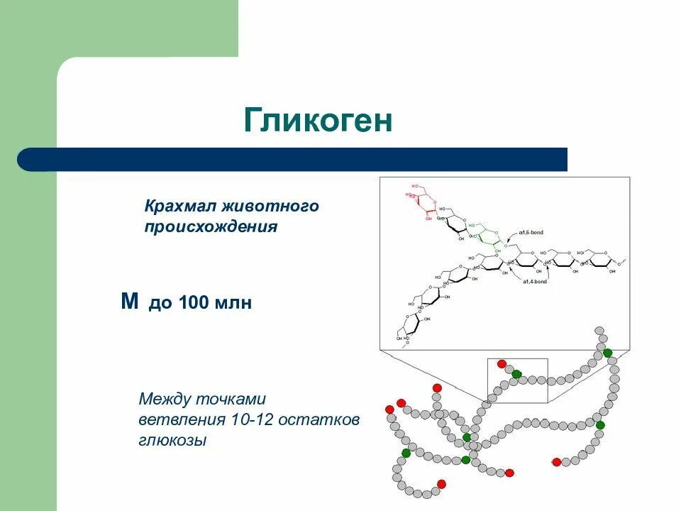 1 гликоген относится к. Гликоген. Структура гликогена. Гликоген строение. Гликоген у животных.