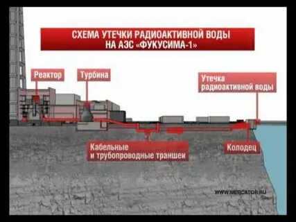 Утечка радиации ростов