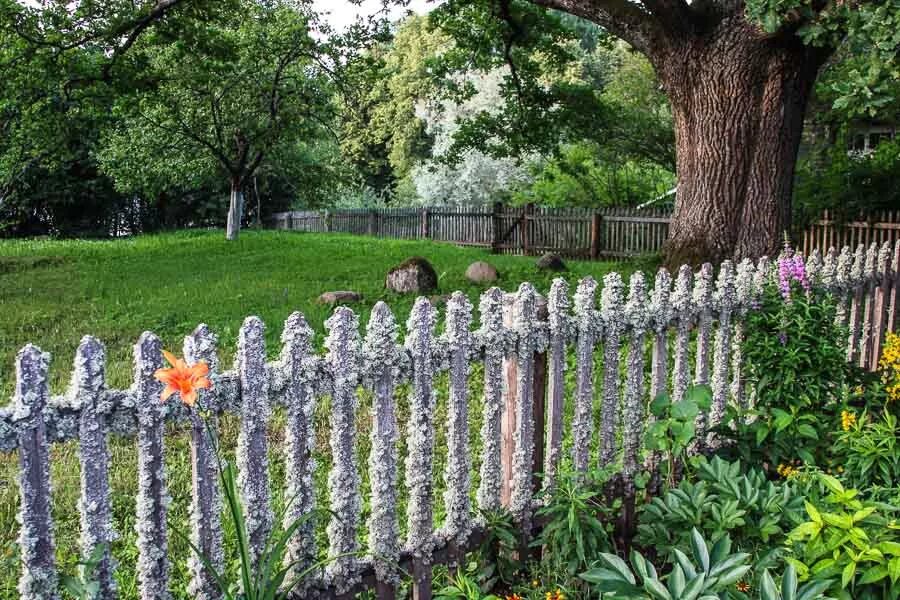 Необычные палисадники. Газонное ограждение 1503 стальруз. Ограждения для цветников. Заборчики для цветников. Изгородь для клумбы.