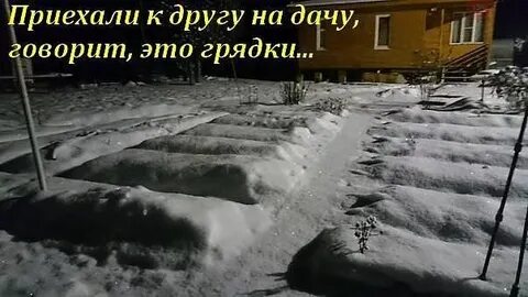 Дача говори