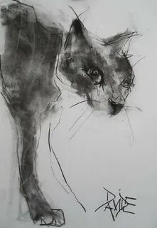 Уголь кошке