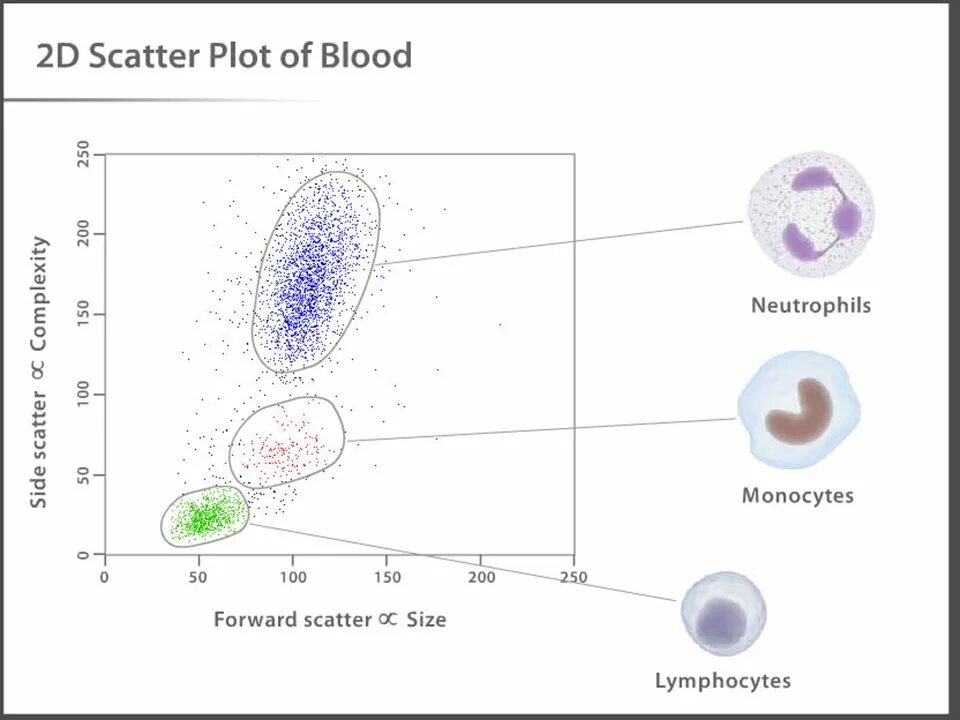 Scatter size
