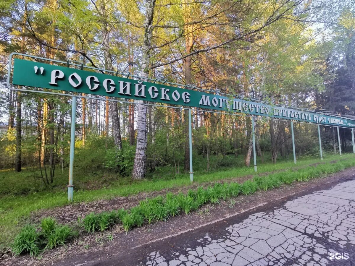 Печать академгородок. Лес академгородка новосибирск. академгородок новосибирск достопримечательности. парк в академгородке новосибирск. микрорайоны академгородка новосибирск.