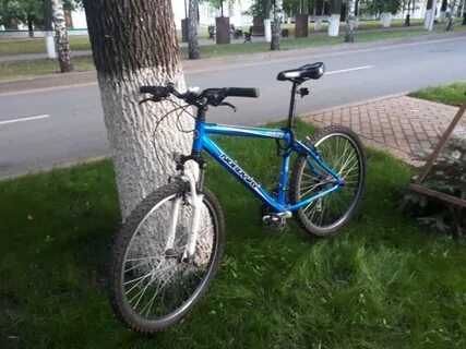 Active 80