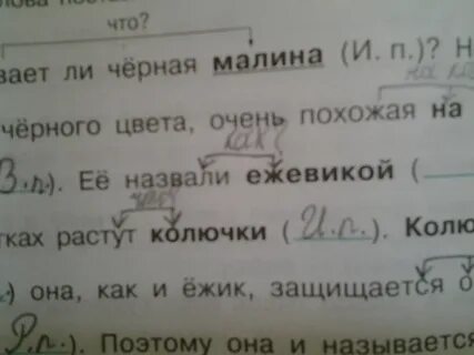 Малину какой падеж