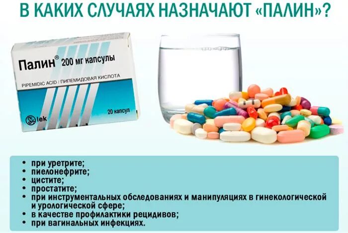 Какие лекарства принимать при цистите. Палин антибиотик при цистите. антибиотик от цистита палин. капсулы от цистита палин. таблетки от цистита для женщин антибиотик.