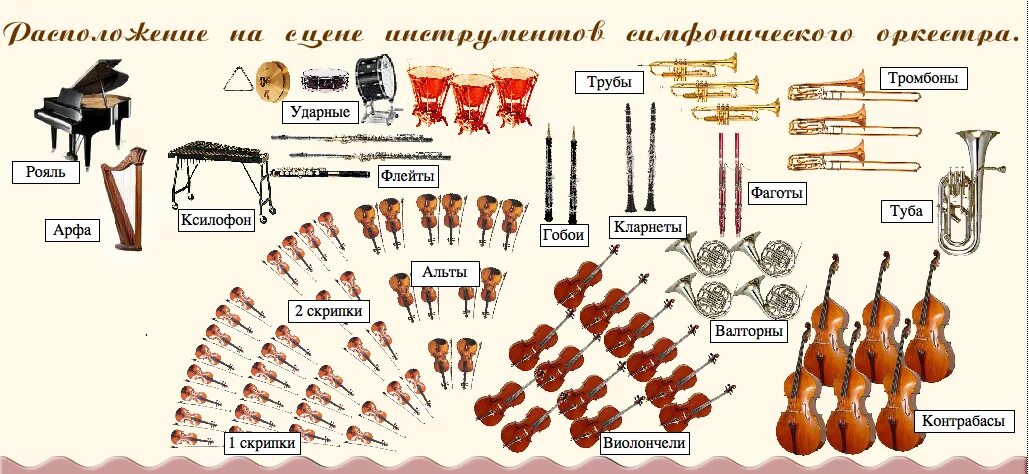 Состав музыкальных инструментов в симфоническом оркестре. Расположение инструментов симфонического оркестра на сцене. Инструменты которые входят в состав духового и симфонический оркестр. Симфонический оркестр состав инструментов. Большая группа музыкальных инструментов