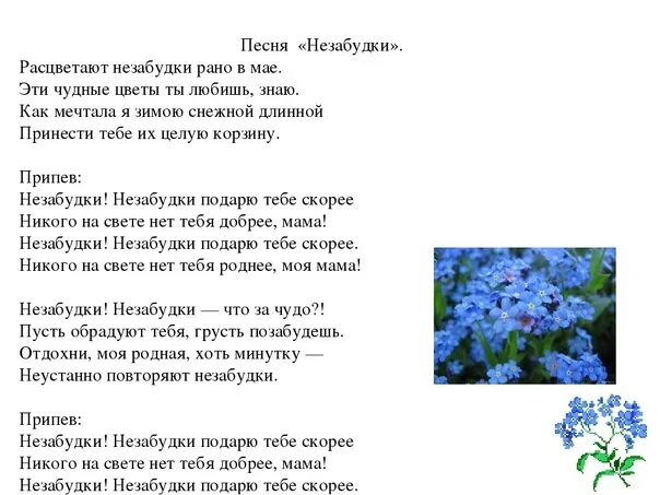 Незабудка текст. Незабудка песня. Слова песни Незабудка. Слова песни Незабудка Незабудка. Веселая песня про цветы