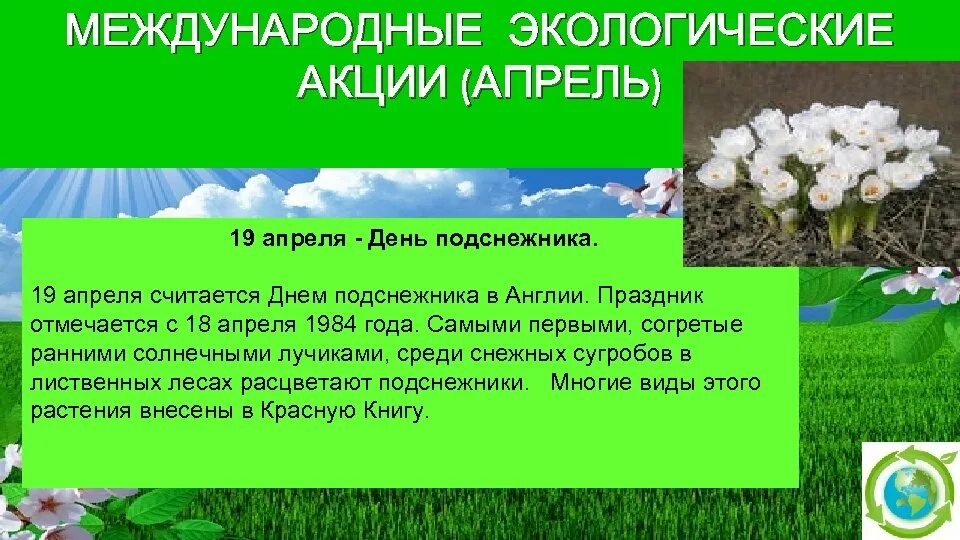 Всемирные праздники в апреле. День подснежника. 19 Апреля праздник. Международный праздник день подснежника. Апрель день подснежника.