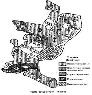 Методы учета засоренности посевов
