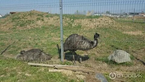 Экопарк шихово