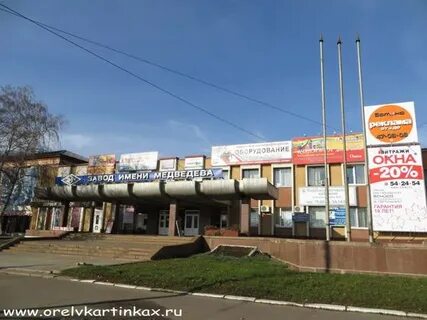 Медведево орел