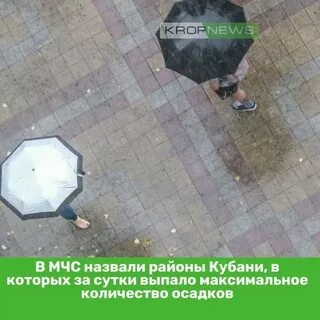 За сутки выпало