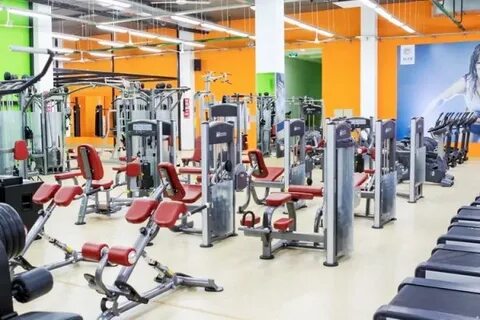 Алекс фитнес череповец