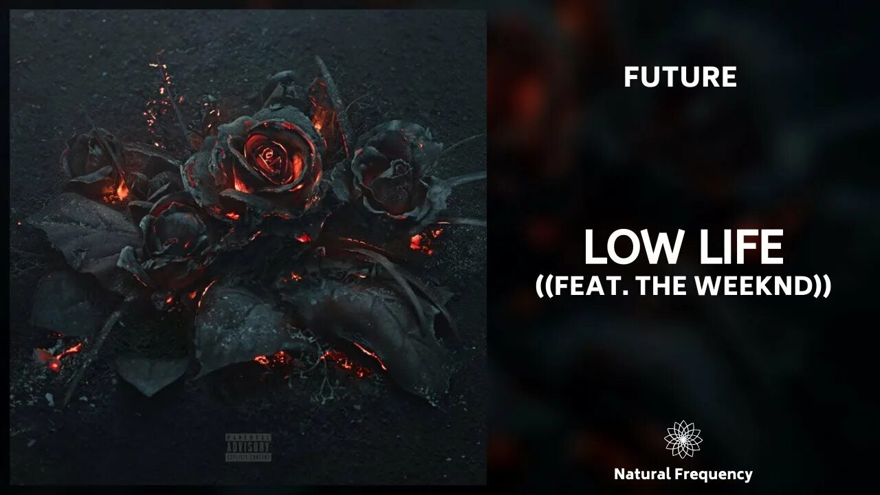 Future the weeknd. Low Life. Low Life Future. Low Life Future the Weeknd. Future обложка.