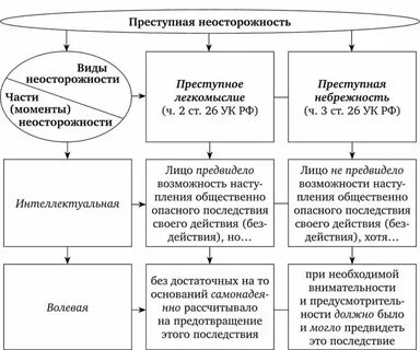 Виды неосторожности в уголовном праве