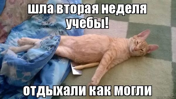 Вторая неделя выходных. Вторая неделя выходных. Начало рабочего дня. Лист календаря. Календарь картинка.