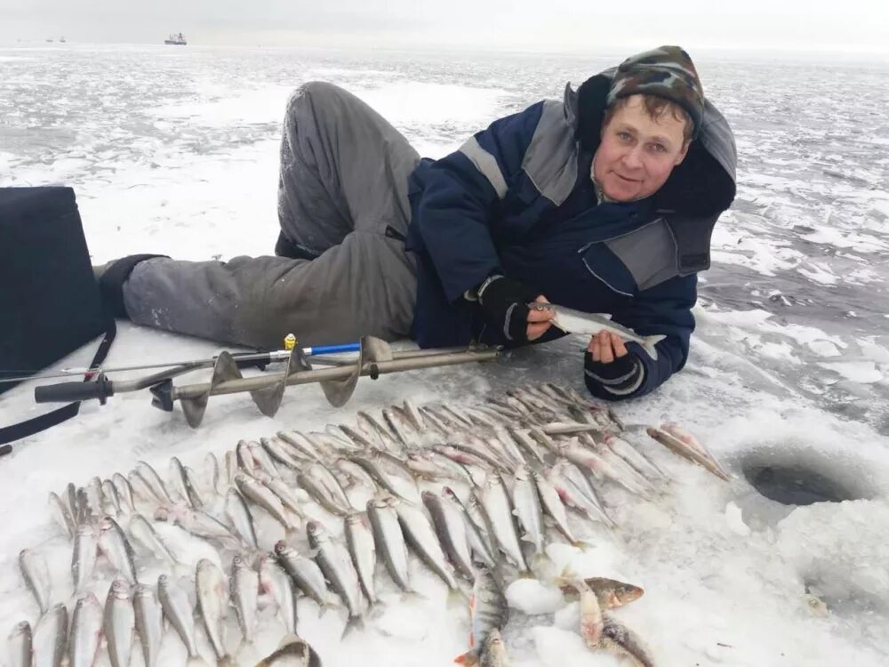 Ловли санкт петербург. Ловля корюшки на финском заливе. Корюшка финский залив. Зимняя рыбалка финский залив дамба. Зимняя рыбалка в Усинском заливе.