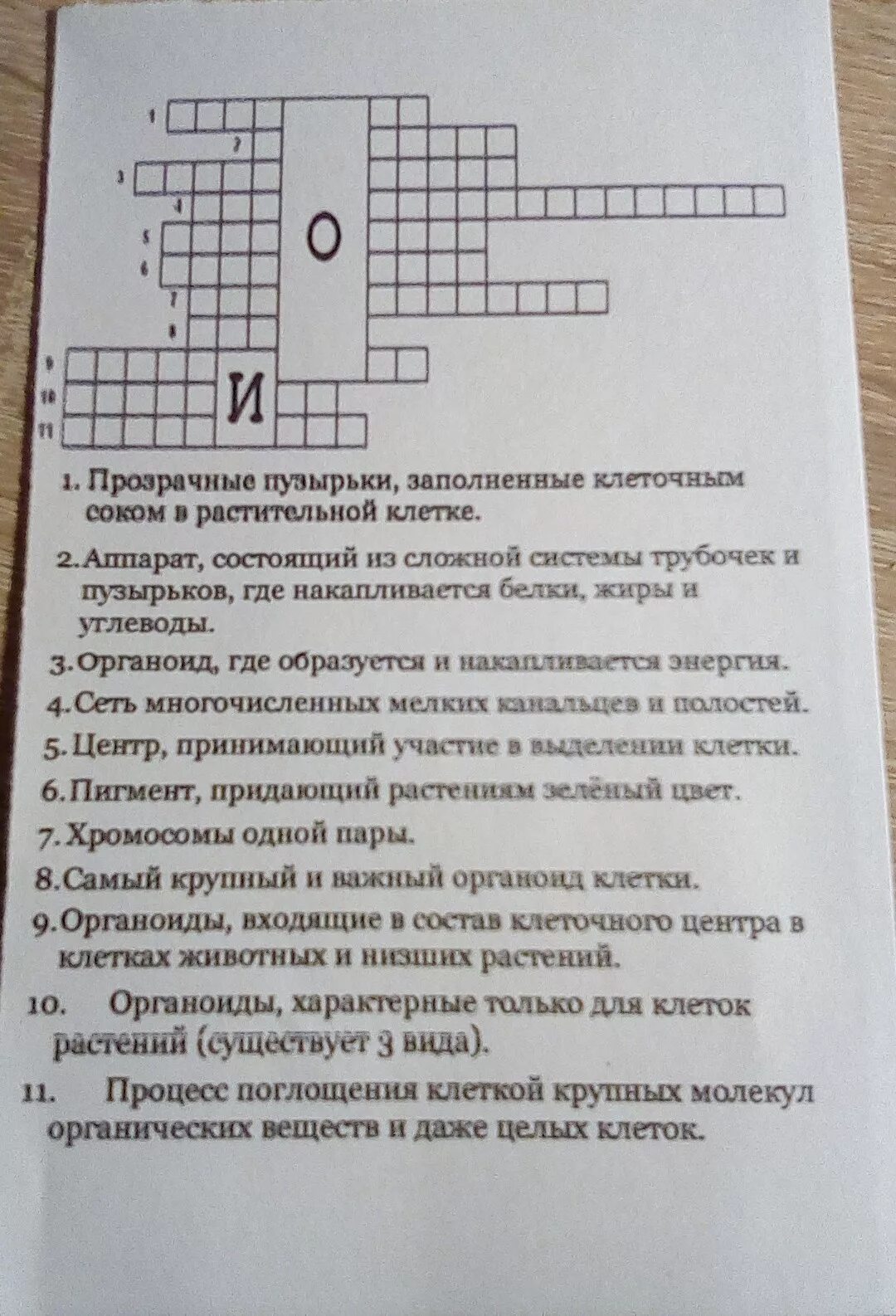 Слова в клетках кроссворд. Кроссворд по биологии. Биологический кроссворд. Кроссворд на тему клетка. Кроссворд клетка по биологии.