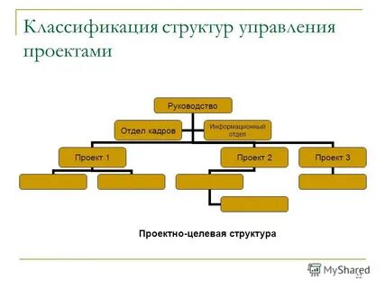 Целевая структура проекта