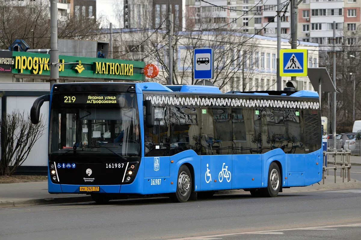 Автобус 219 буревестник нижний. Автобус 219. Автобус 219 СПБ.