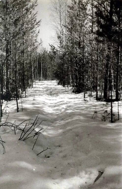 Поселок черемухово свердловская область. Свердловская область, североуральский г. Поселок черемухово свердловская область. Североуральск поселок черемухово. Черемухово североуральск.