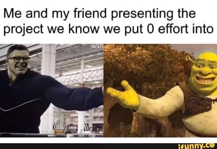Put a lot of effort. Me and my friends meme. presentation memes. effort put. data science мем для презентации.