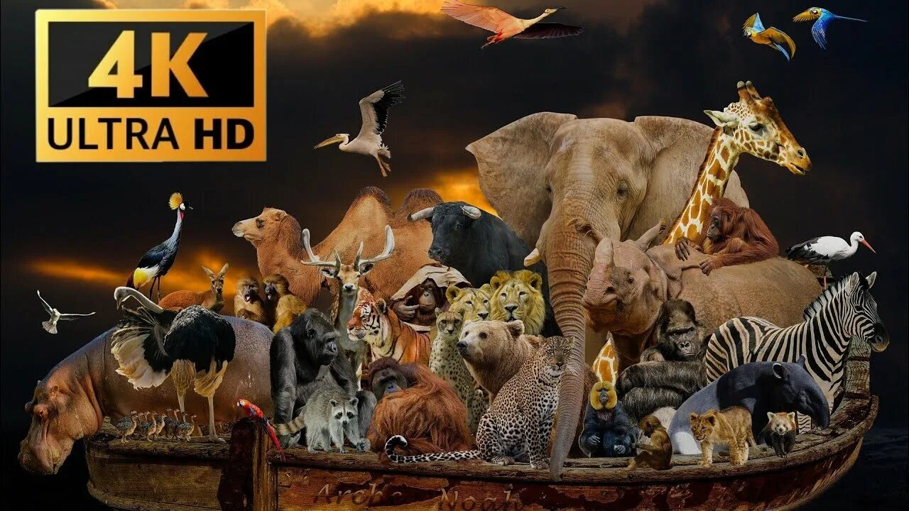 Noah animal. Ноев ковчег. Noah animal. Ковчег ноя. Ноев ковчег и животные.