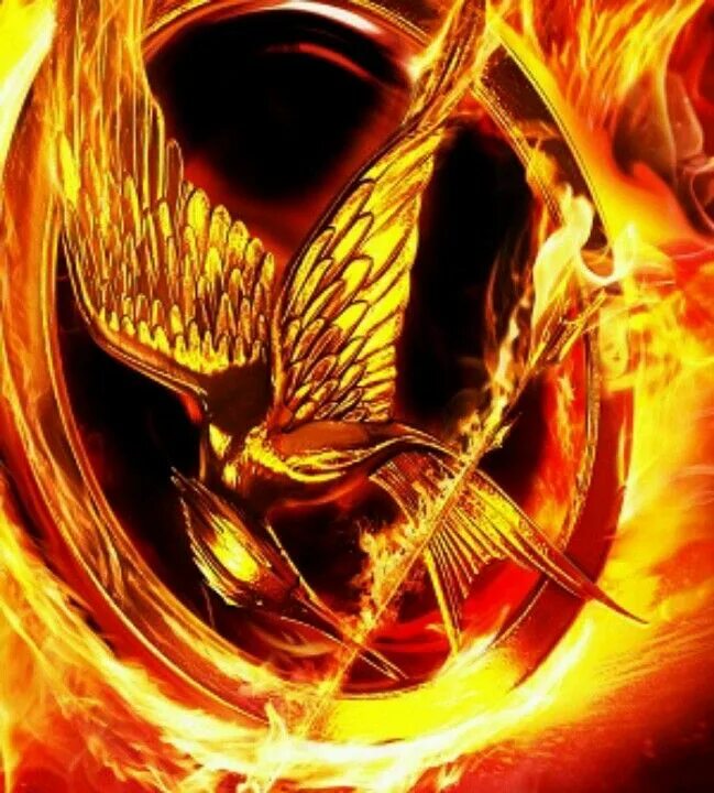 Сьюзен коллинз трилогия голодные игры. Издания книг голодные игры сага легенда. Сьюзен коллинз и вспыхнет пламя. Голодные игры (трилогия) — книжная трилогия сьюзен коллинз. Сьюзен коллинз и вспыхнет пламя.