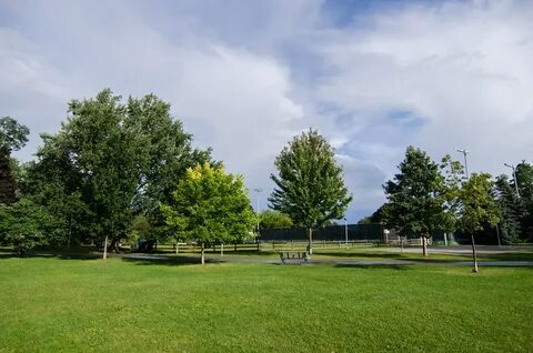 See park