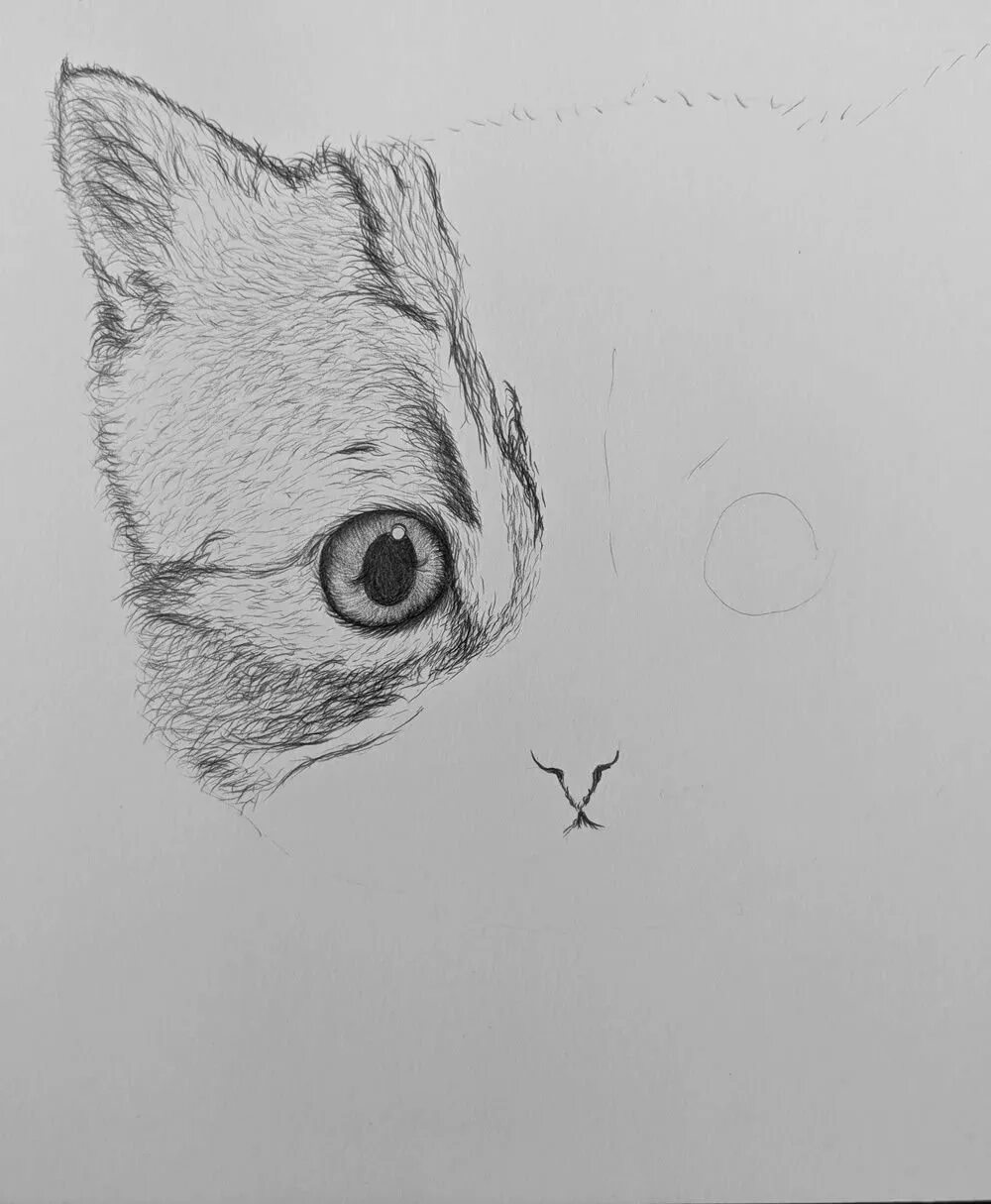 Котик простым карандашом милый. Котенок карандашом. котенок карандашом красивый. котик рисунок карандашом. милый котенок карандашом.