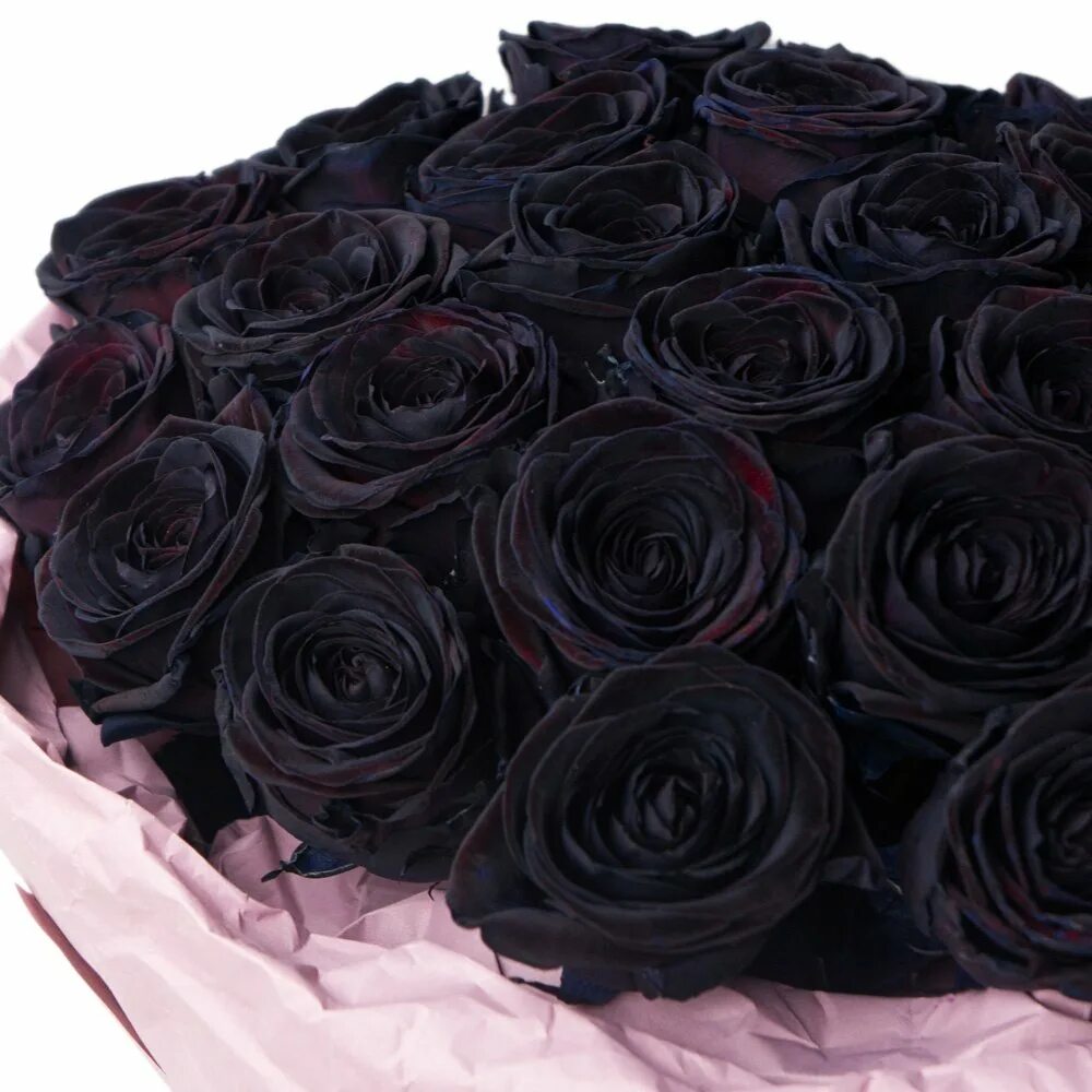 Черная розочка. Букет чёрных роз. Черные розы букет. Красивый букет черных роз.