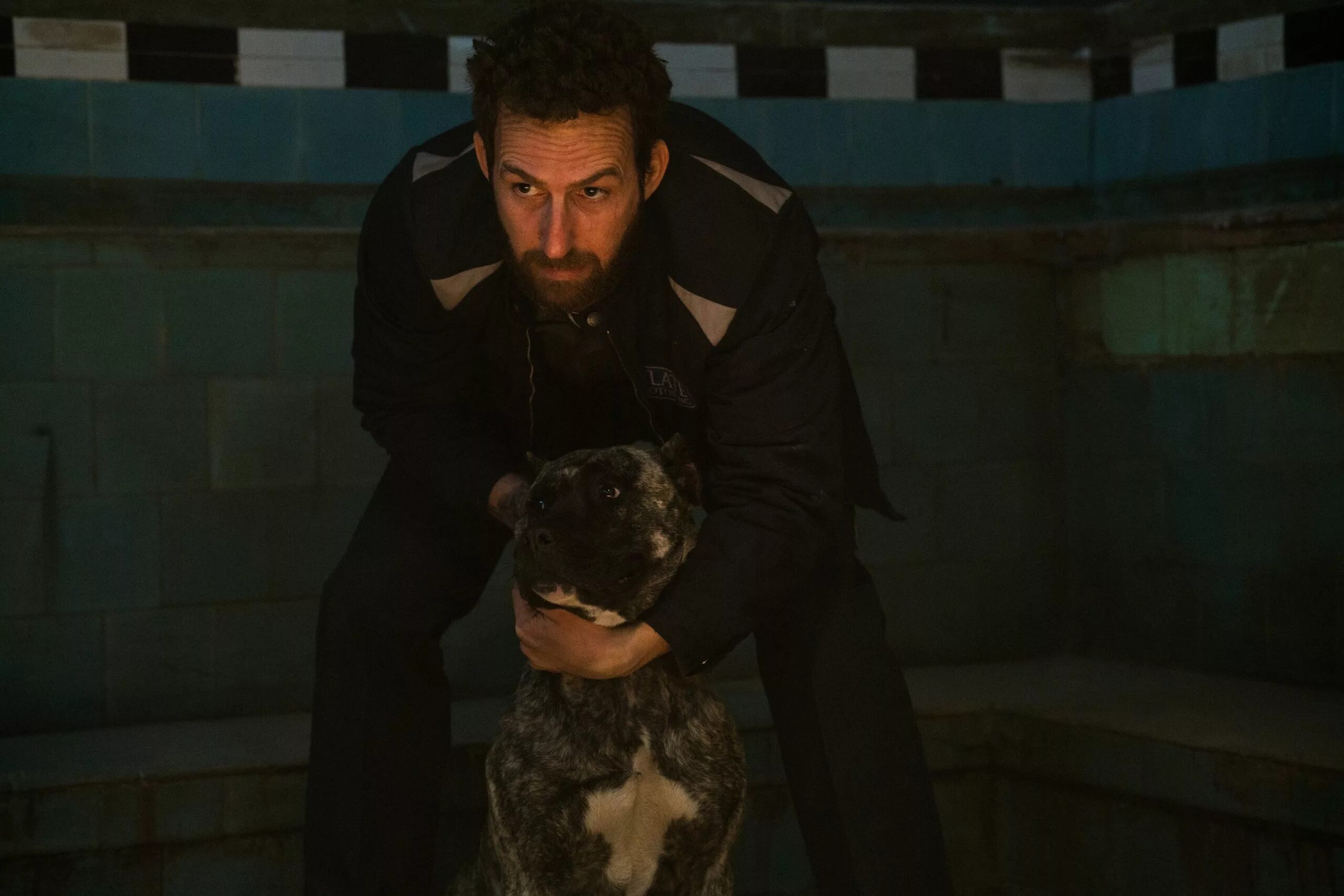 Мир глазами энзо кино. Пес мухтар пёс 6. Think like a dog фильм 2020. Джон уик. Хатико самый верный друг фильм.