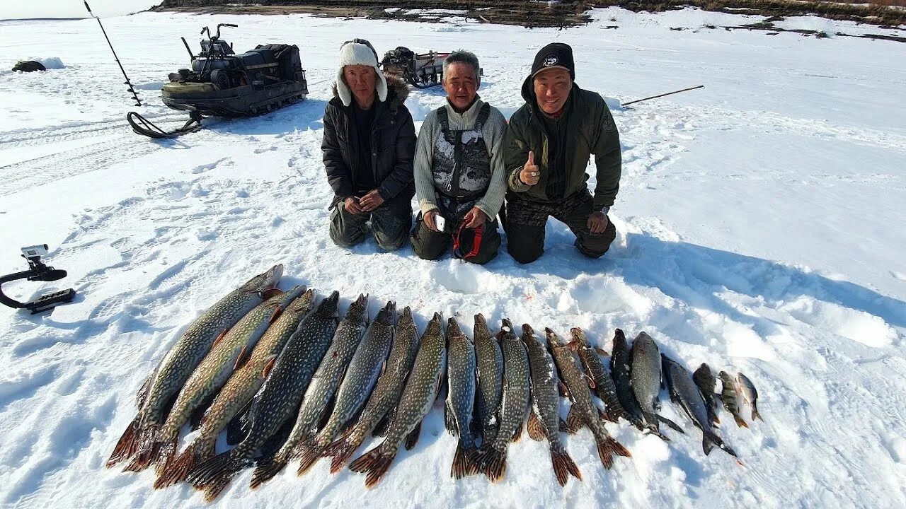 Охота и рыбалка на севере видео. Зимняя рыбалка в Якутии 2021. Клёвая рыбалка в Якутии 2021. Подледная рыбалка в Якутии. Рыбалка в Якутии зимой.