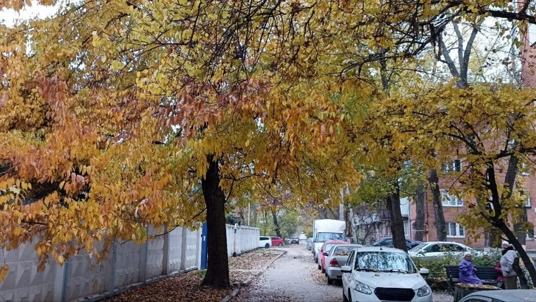Погода в ростове. Екатеринбург вид из машины. Погода в ростове-на-дону на ноябрь 2022. Сильный дождь. Ночной екатеринбург из машины зимой.