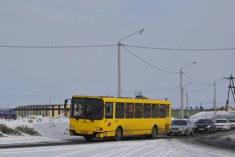 Автобусы плесково ольховая расписание