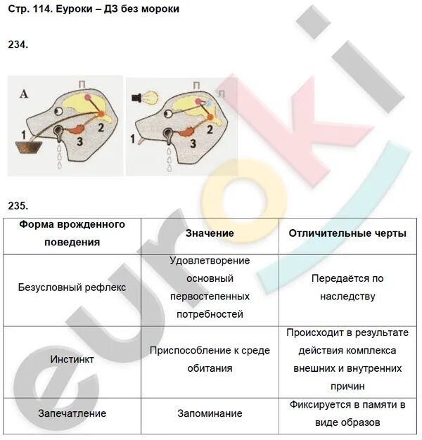 Гдз по биологии 8 класс стр 114. Биология 8 класс страница 114 практическая работа. Биология 8 рабочая тетрадь маш беляев