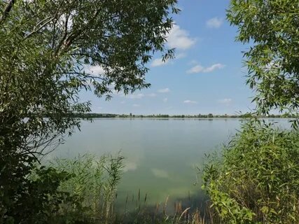 Белое озеро ульяновск